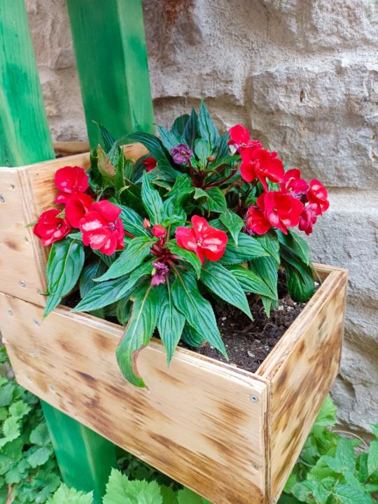 Ana Maria Martinez Martinez