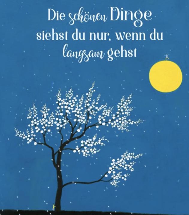 DOD und unsere Updates 