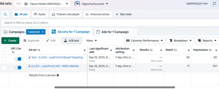 Can you Help Me With Meta Ads?