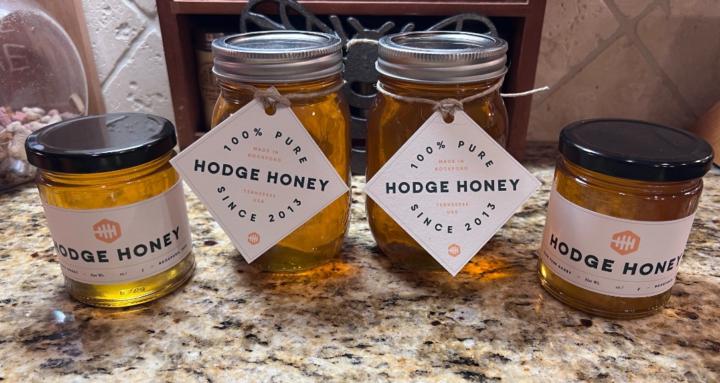 Beekeeping with Tommy