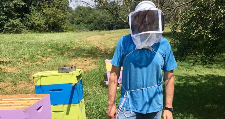 Beekeeping with Tommy