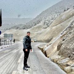Abdel Ali