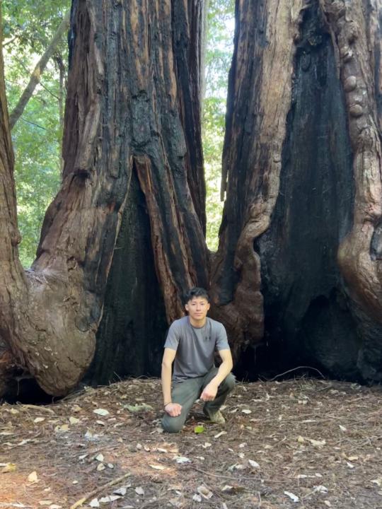 Jaime Hernandez Lagunas