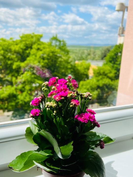 Эрдэнэсувд Шинэзориг