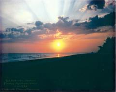 Gabrielle Denize Newsam