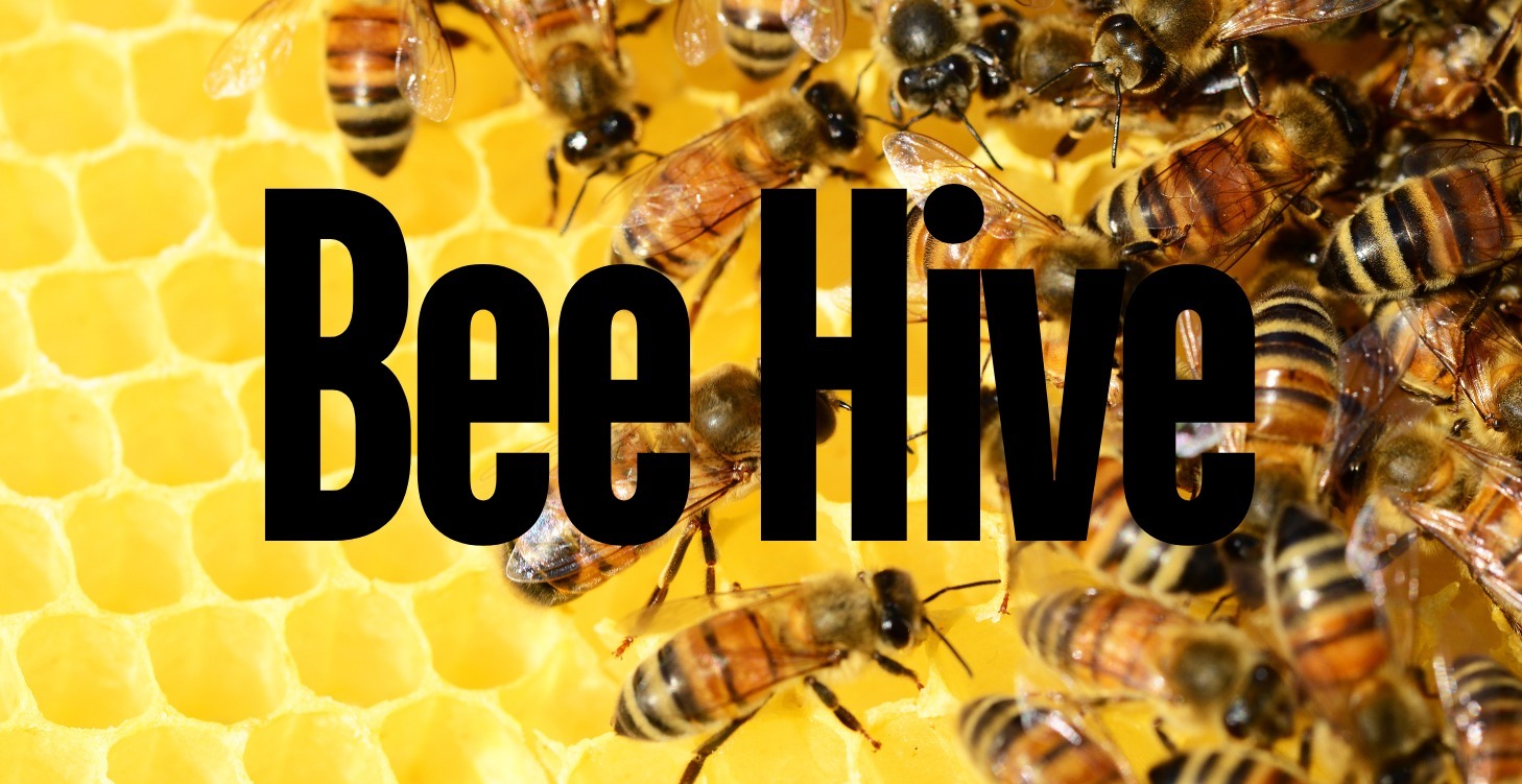 Bee Hive Marketing