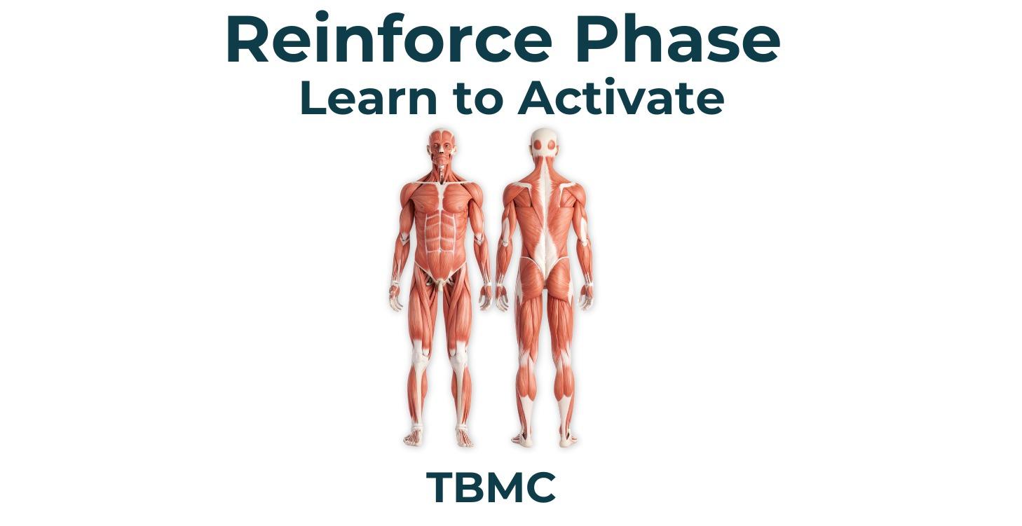 # 3 Reinforce