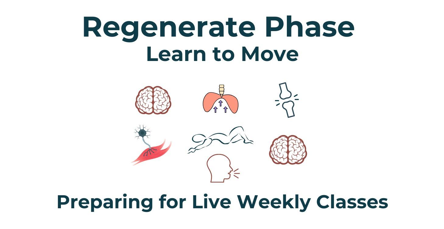 4th Course - Weekly Classes Prep