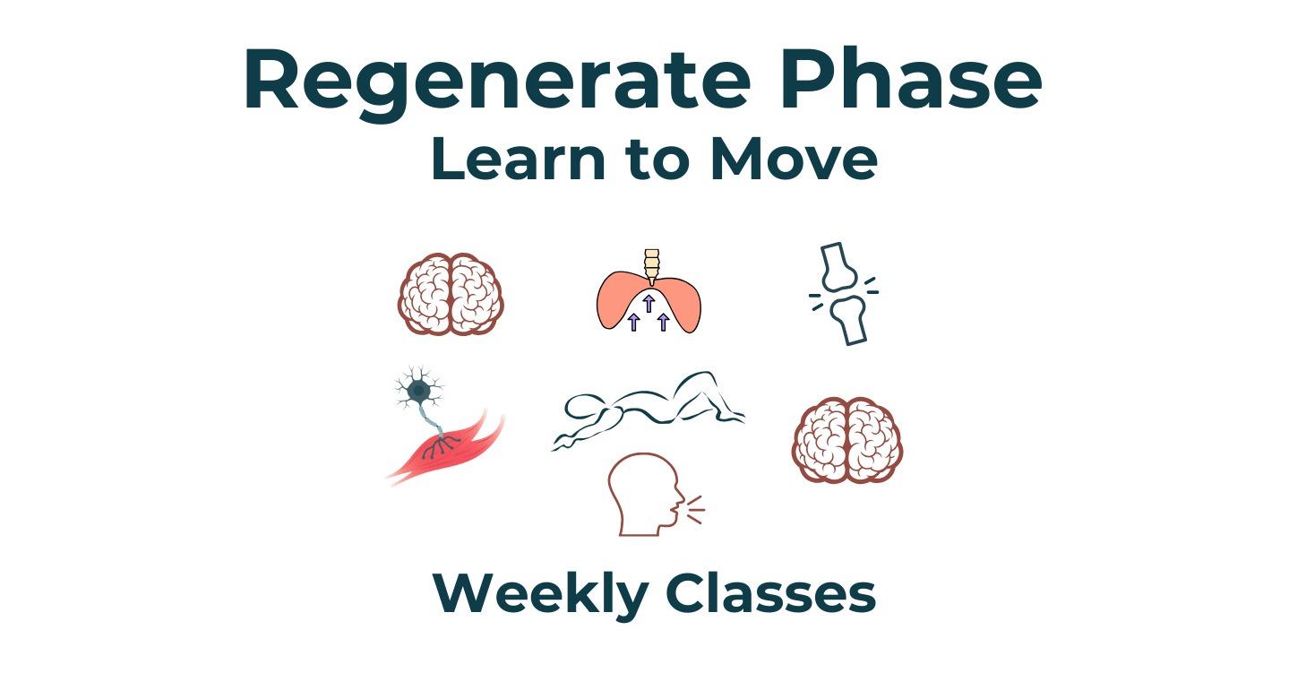 4th Course - Weekly Classes