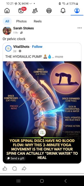 Pelvis class foundations 