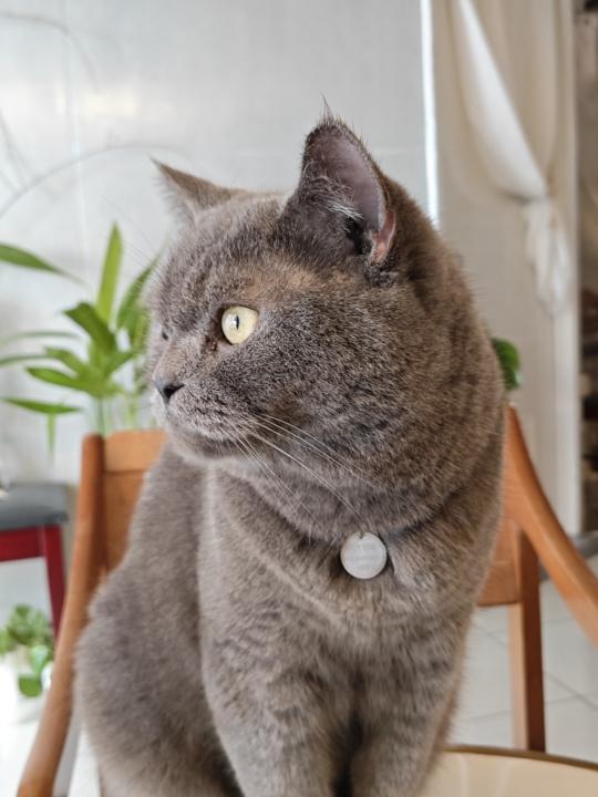 自我介紹✨