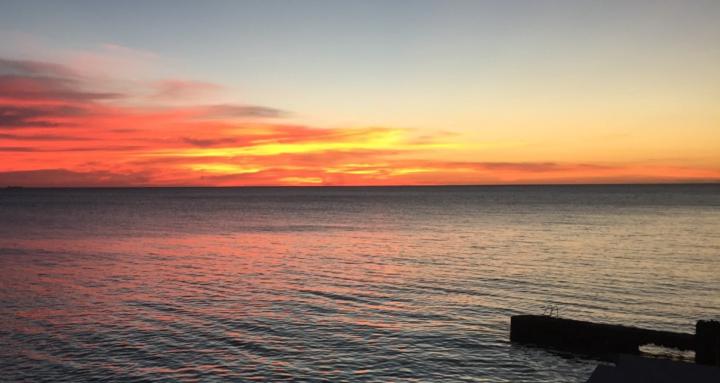 Vital by Counseling Nature