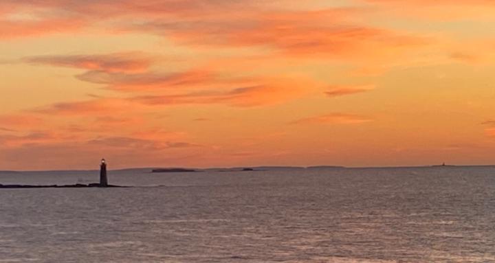 The Digestion Connection™ 