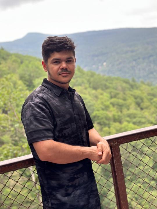 Malik Hameedi