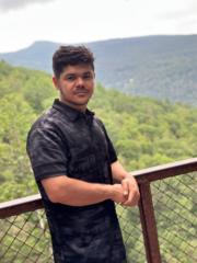 Malik Hameedi