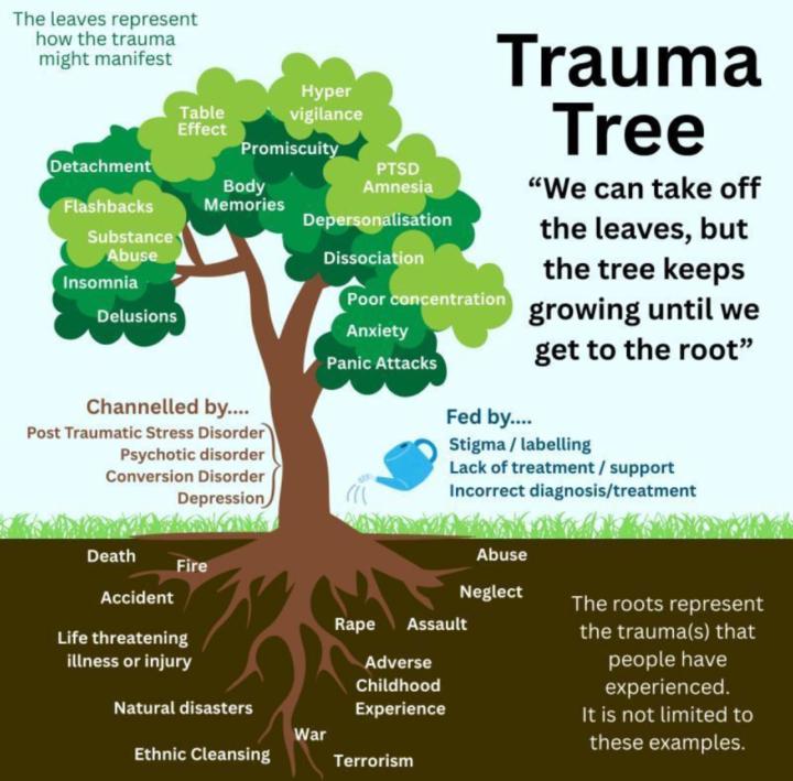 Trauma tree