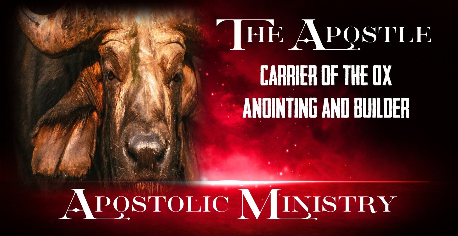The Apostle: The Builder