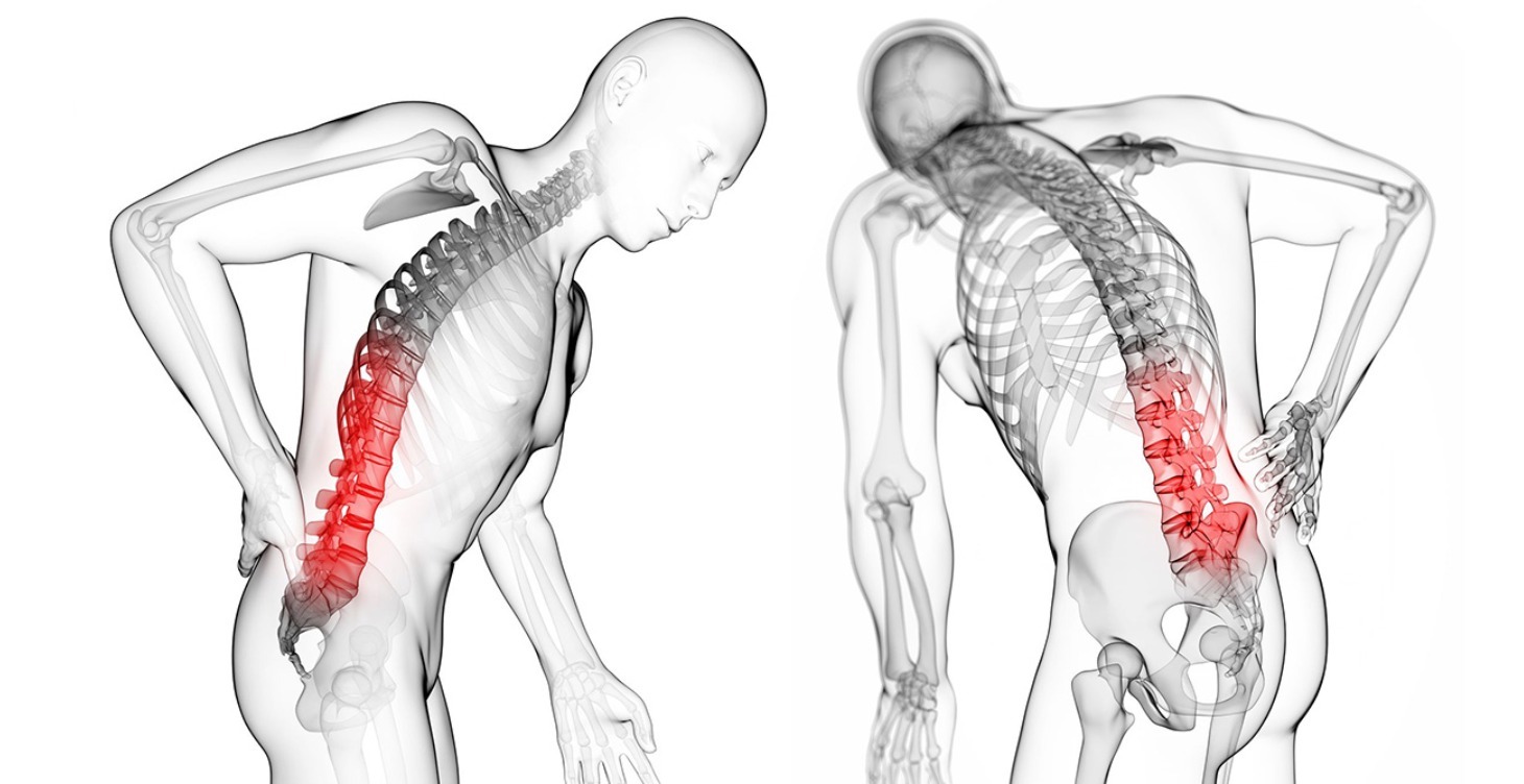 1 week FREE Lower Back Program