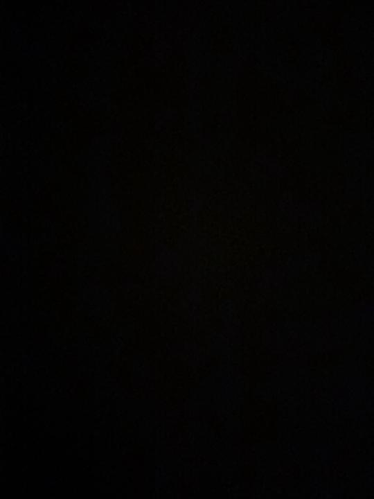 Chantal Soraya Sadiekkhan