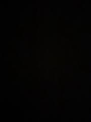 Chantal Soraya Sadiekkhan