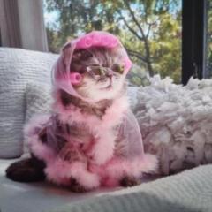 Chantal Soraya Sadiekkhan