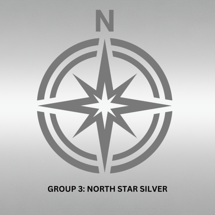 Group 3: North Star Silver
