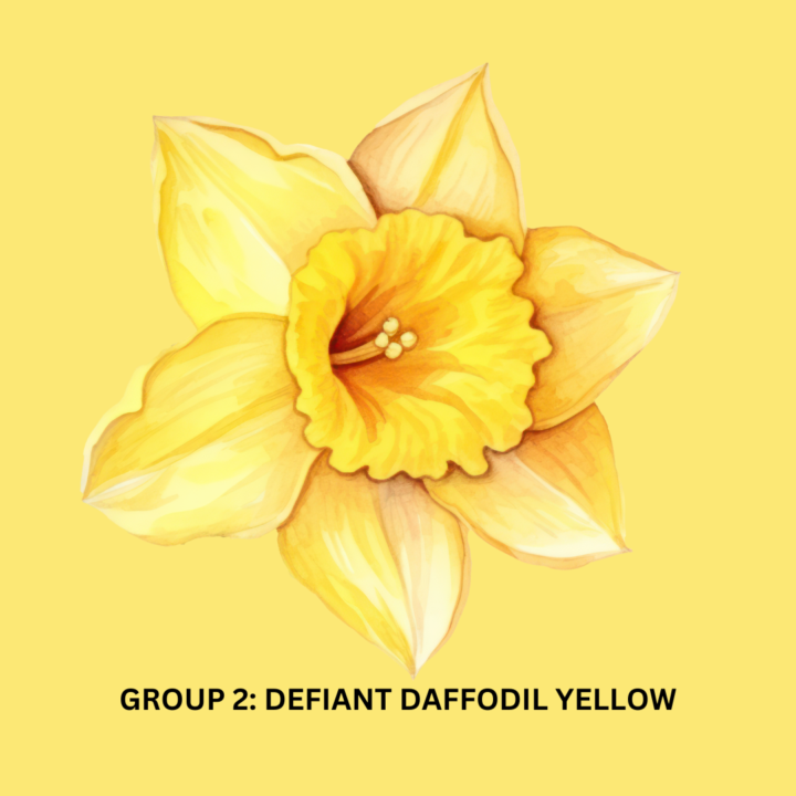 Group 2 - Defiant Daffodil Yellow