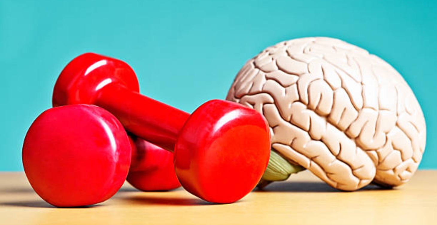 Essential Mental Models for Better Thinking