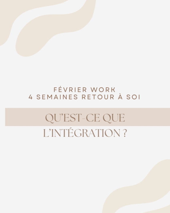 Qu'est ce que l'intégration 