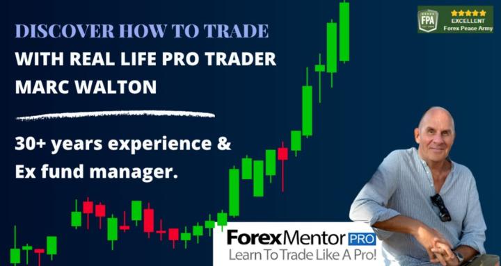 Forex Mentor Pro