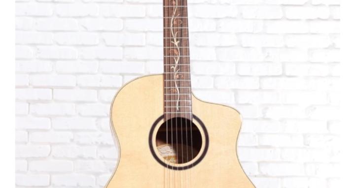 Guitar Lovers