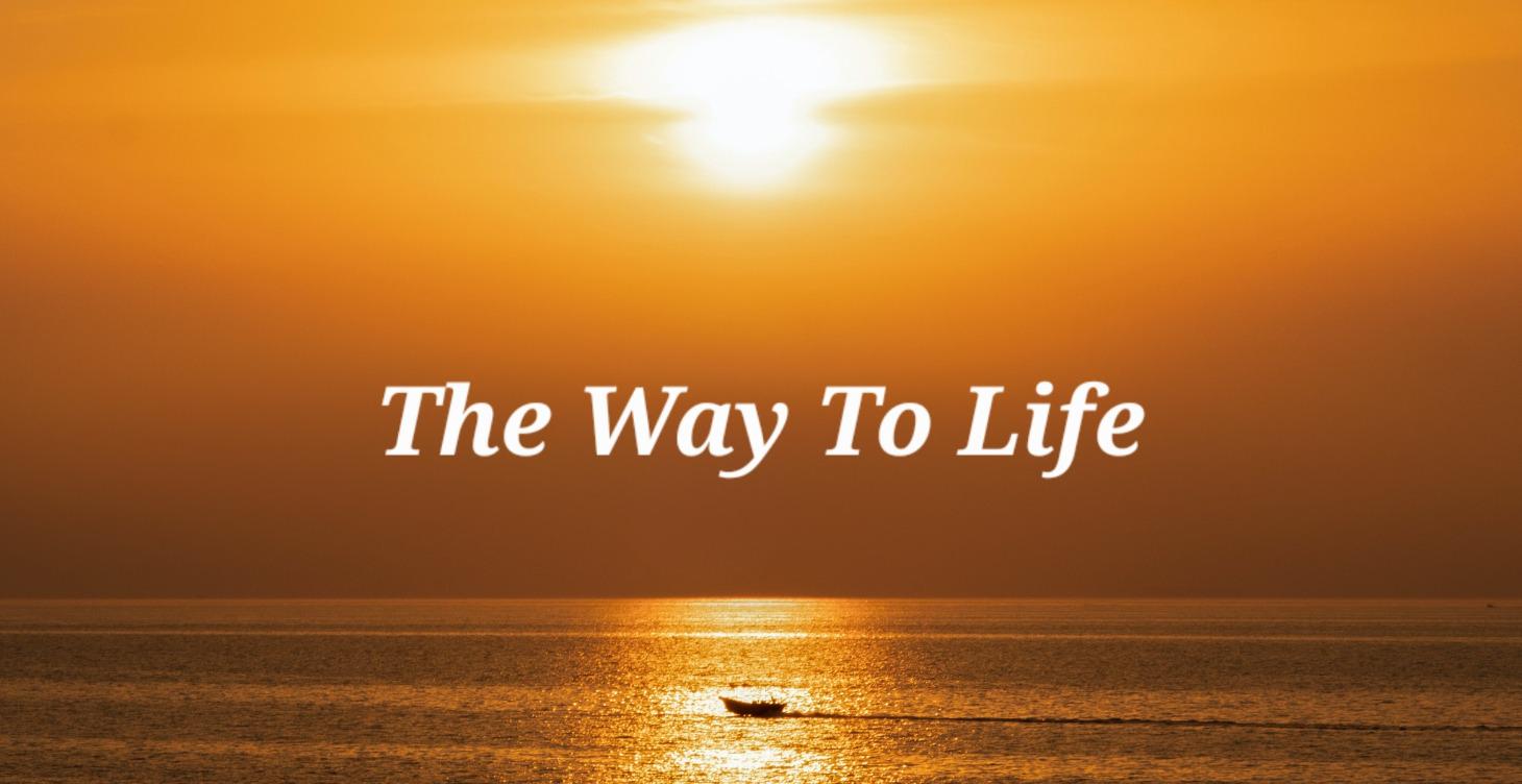 ($2 or Level 2+)  The Way To Life