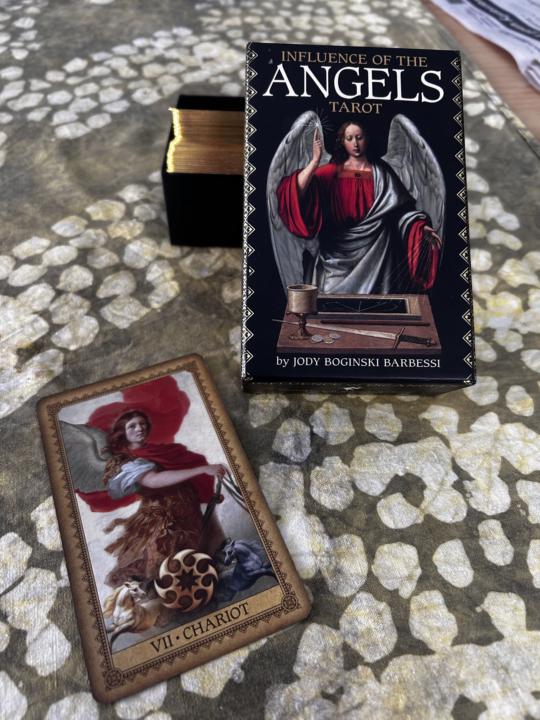 Daily pull - Chariot in reverse 