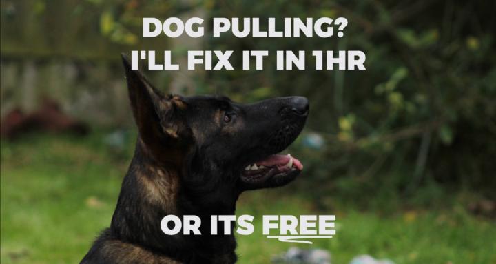 Obedience Underground