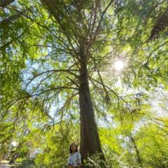 Angela Judith Gimenez Zerpa