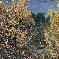 Sigríður Eysteinsdóttir