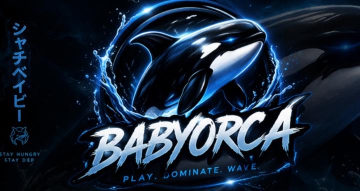 BabyOrca