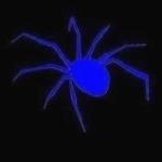 ꪗꪖᦔꪜⅈ ડꪖ𝕣𝕜ꪖ𝕣