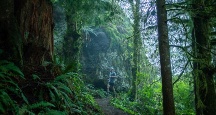 Run Outside the Noise 