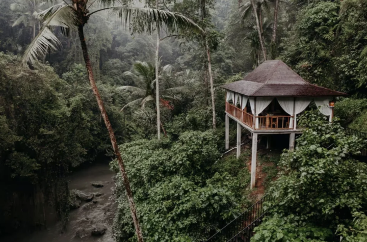 Win a FREE trip to Worlds/Bali with us!!