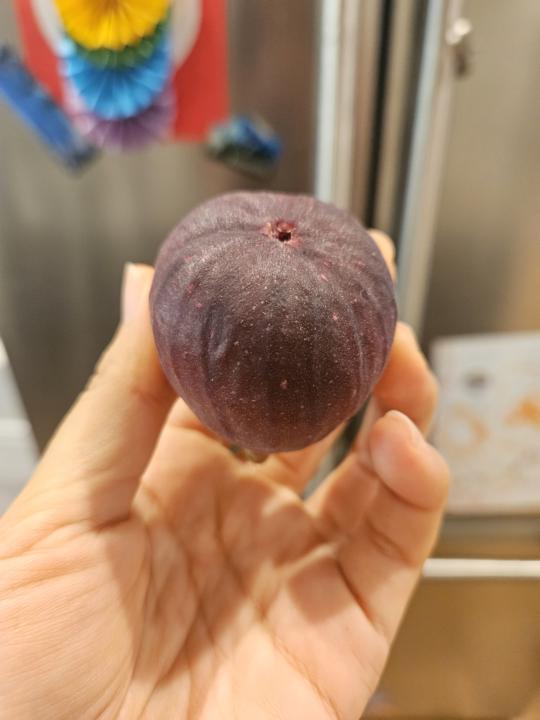 只要是想做的，总会想办法让它开花结果