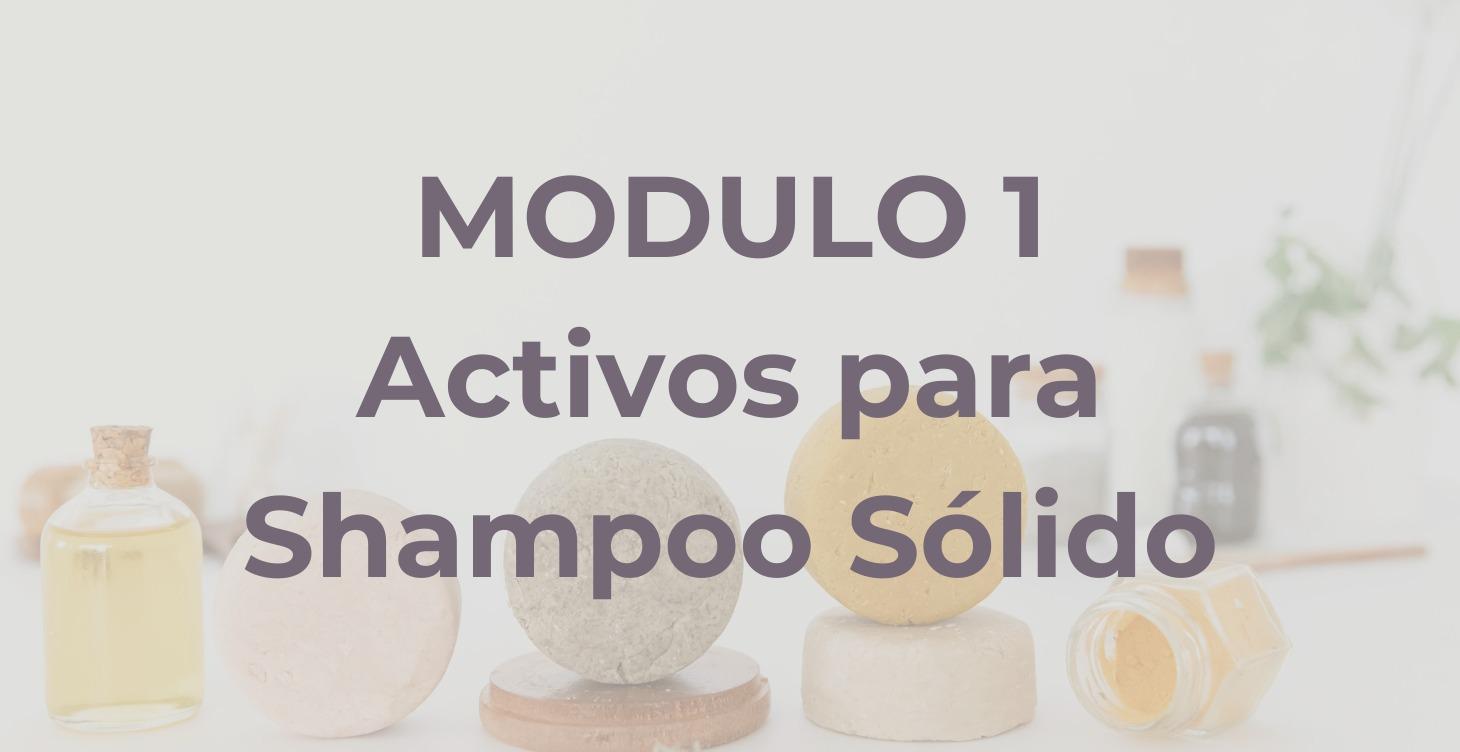 Activos para Shampoo Sólido
