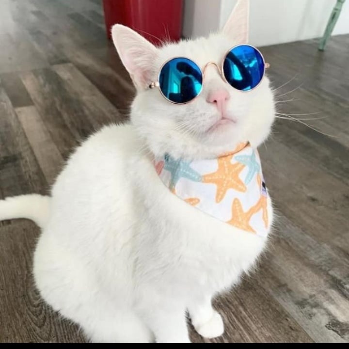 fatima Zahra Anissaf