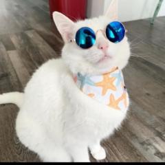 fatima Zahra Anissaf