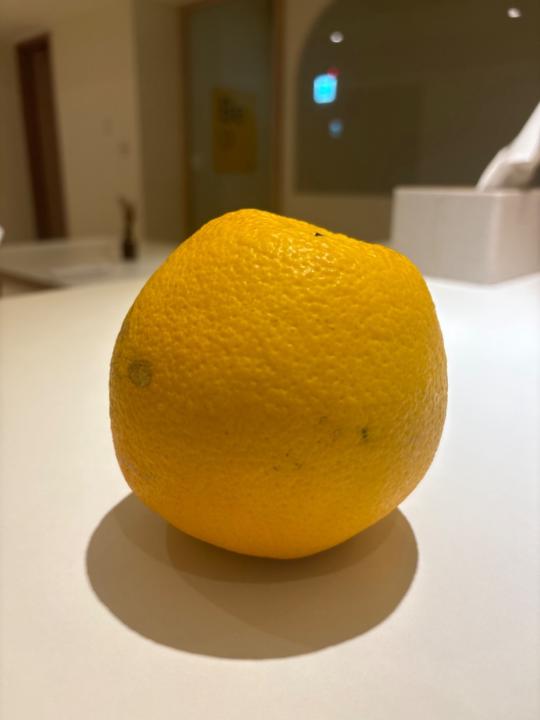 姜 棠样