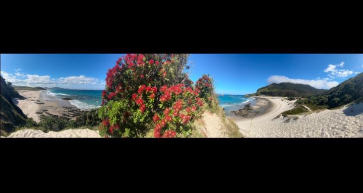 𝕋𝕣𝕦𝕖 𝕃𝕚𝕗𝕖 𝕏ℙ𝔻