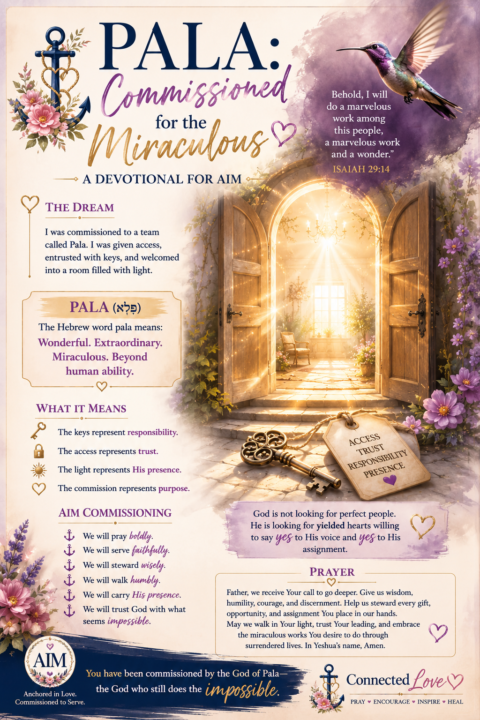 PALA: Commissioned for the Miraculous