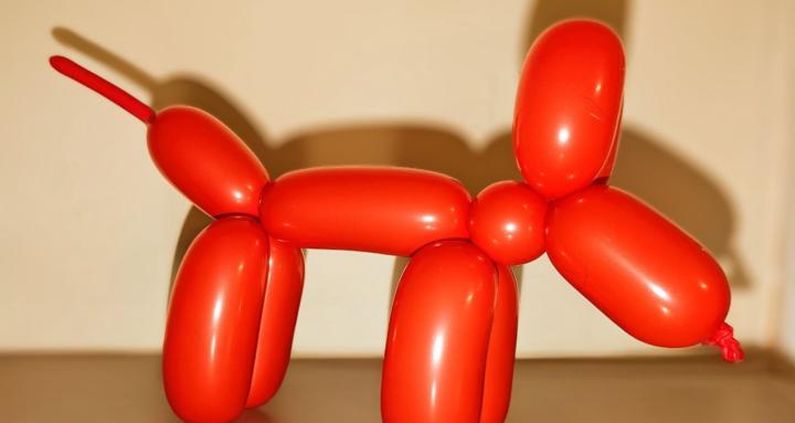 Bri's Balloon Animals