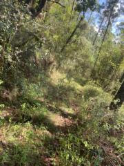 José Jacobo Hernández