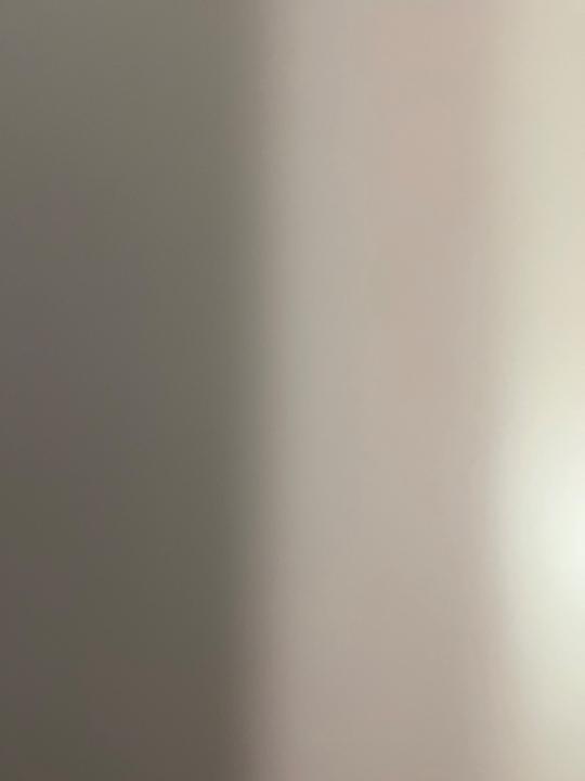 שרון רויטמן